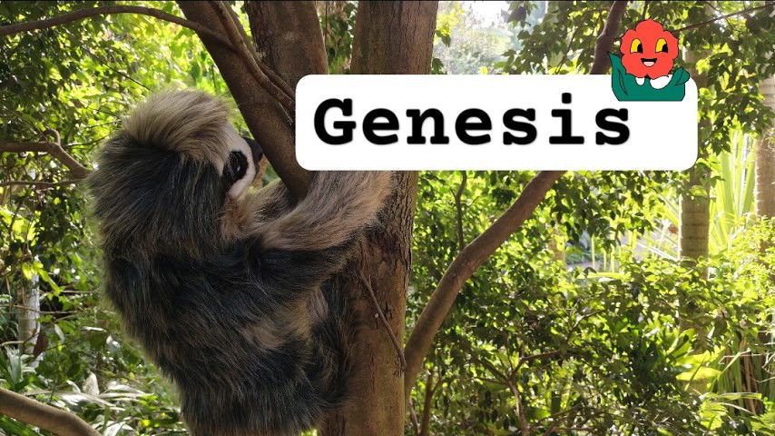 Genesis